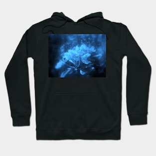 apple blossoms #3, blue tint Hoodie